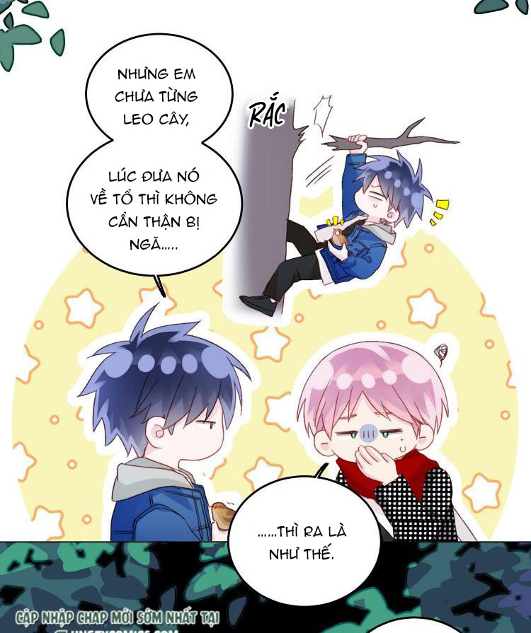 Tôi Phải Làm 1 Kẻ Đại Xấu Xa Chap 43 - Trang 3