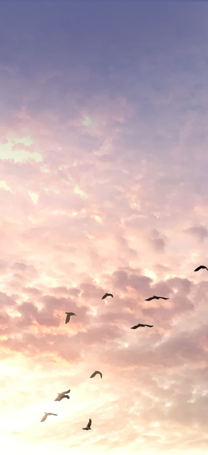 Theo Đuôi Chapter 23 - Trang 4