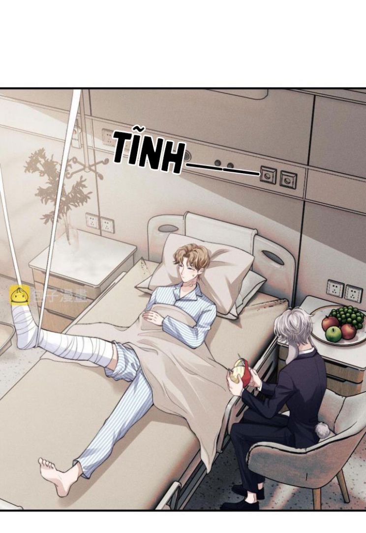 Chấp Sự Thỏ Cụp Tai Chapter 8 - Trang 4