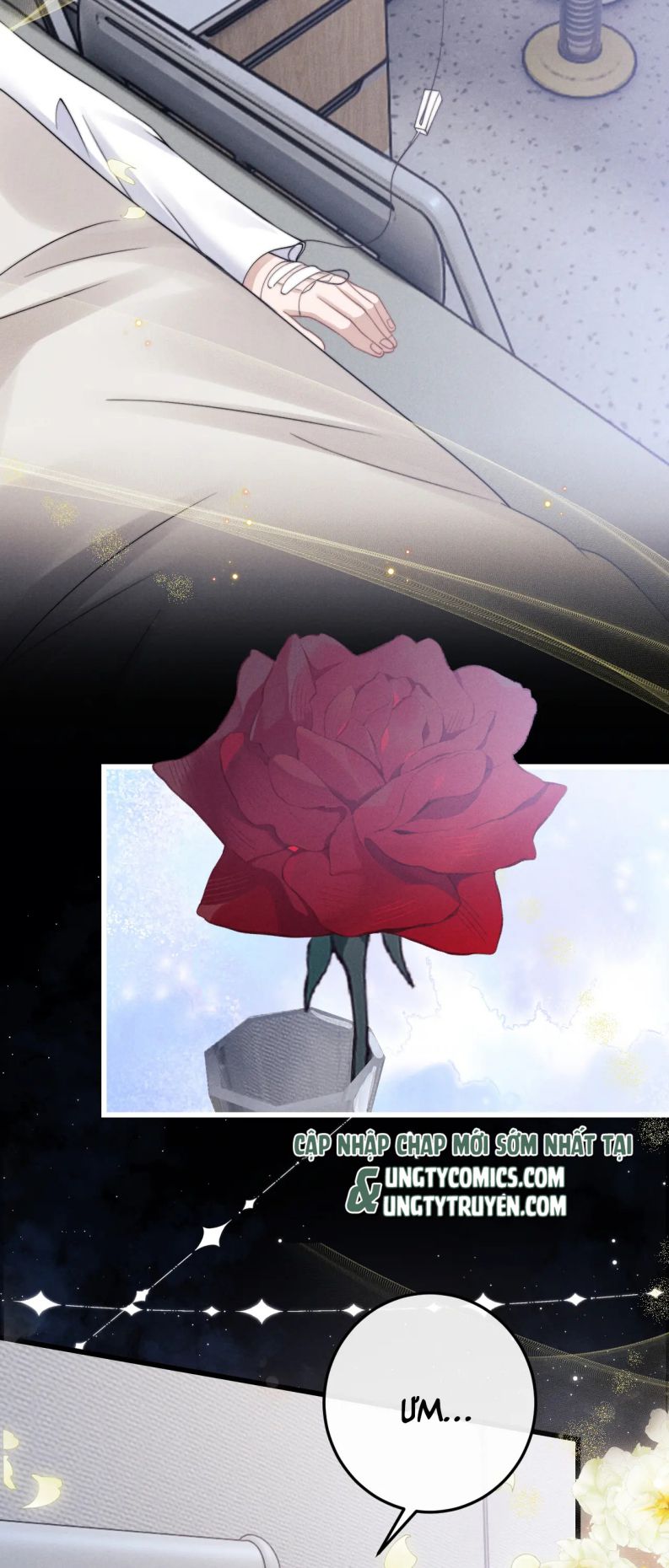 Chấp Sự Thỏ Cụp Tai Chapter 10 - Next Chapter 11