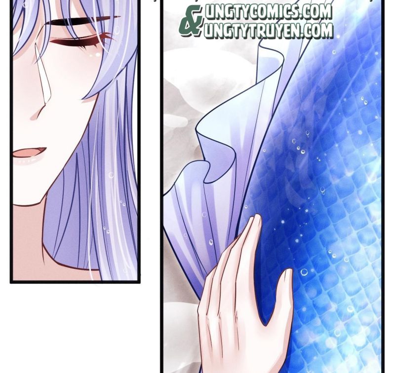 Tôi Hoài Nghi Ảnh Đế Đang Theo Đuổi Tôi Chapter 60 - Trang 4