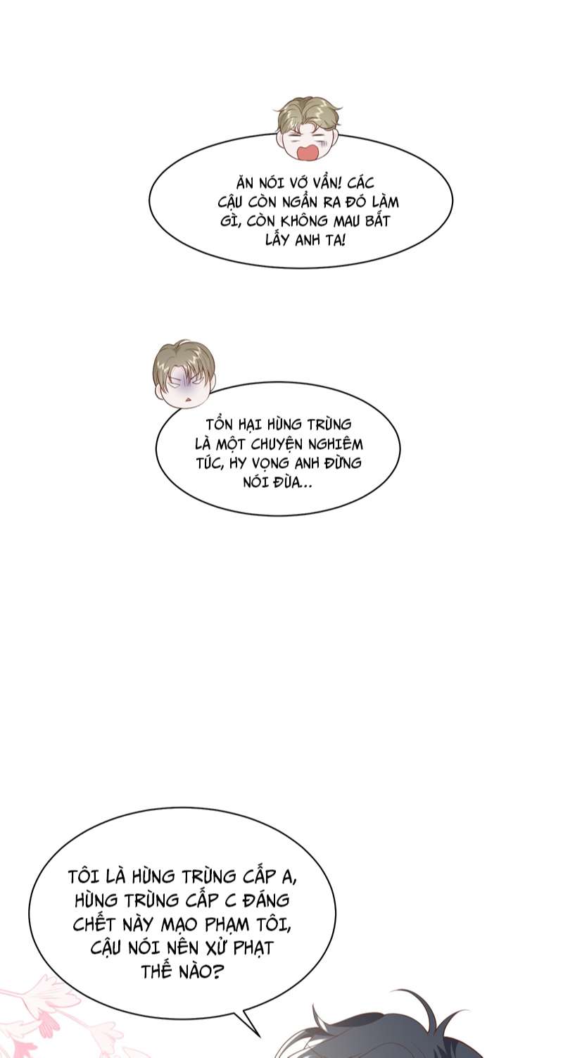 Xuyên Nhanh Chi Cải Tạo Bắt Đầu Lại Làm Người Chapter 49 - Trang 4