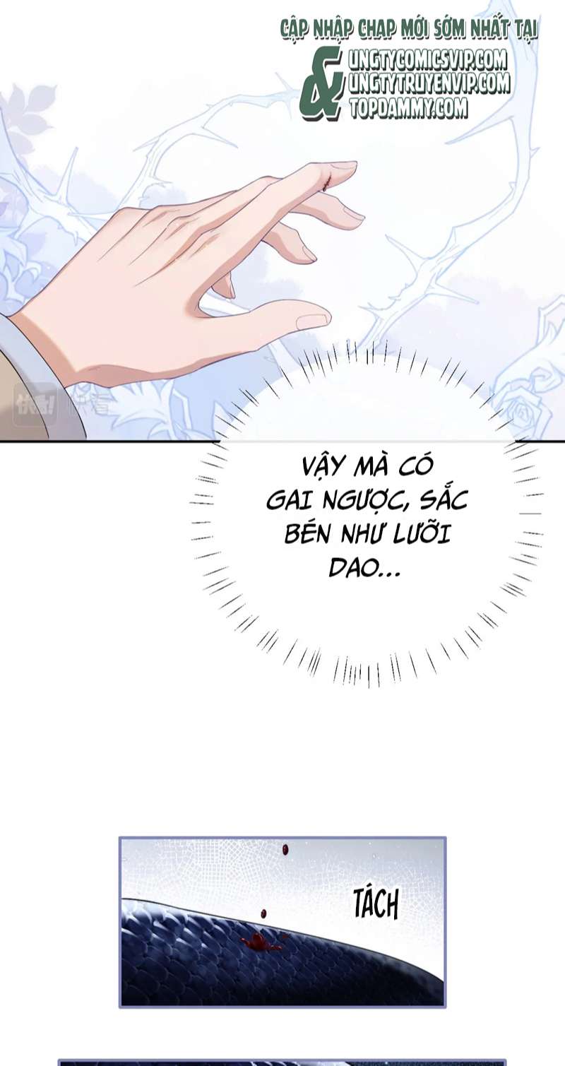 Desharow Nhân Ngư Chapter 1 - Trang 4