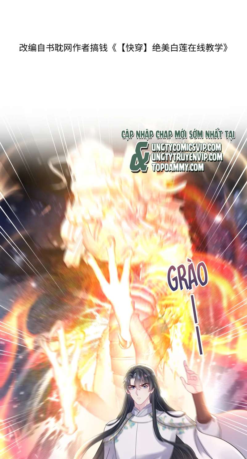 Tuyệt Mỹ Bạch Liên Hoa Online Dạy Học Chapter 182 - Trang 4