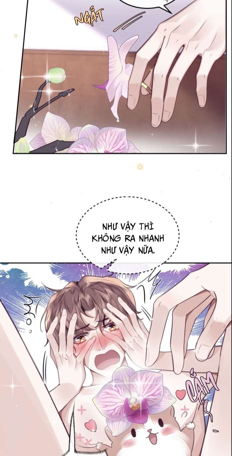 Tổng Tài Định Chế Tư Nhân Chapter 52 - Trang 4