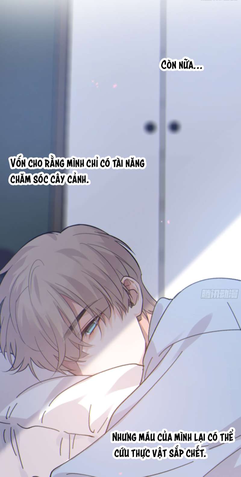 Khi Người Ngủ Say Chapter 34 - Trang 3