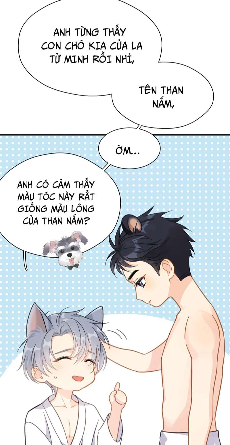 Theo Đuôi Chapter 72 - Trang 4