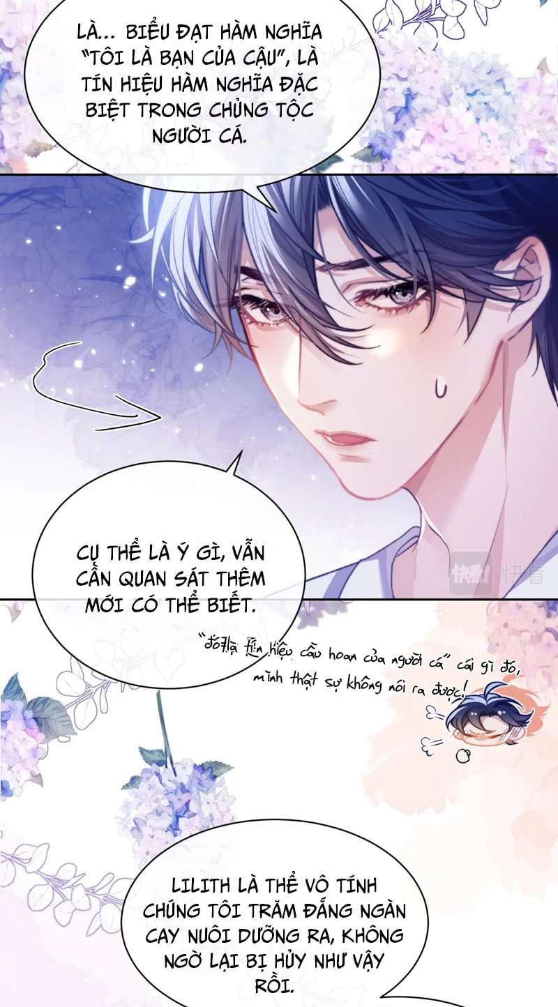 Desharow Nhân Ngư Chapter 13 - Trang 4