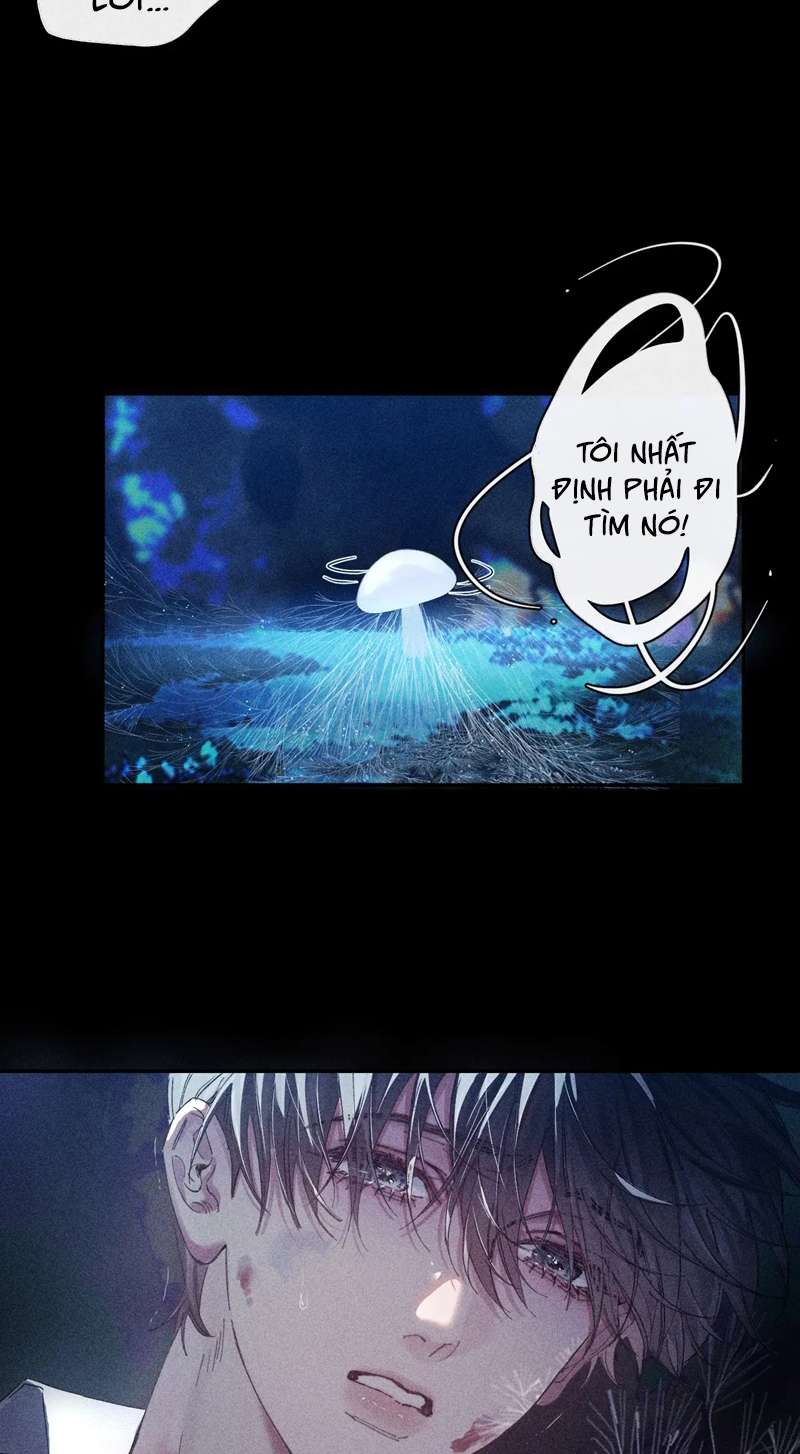 Cây Nấm Nhỏ Chap 3 - Trang 4