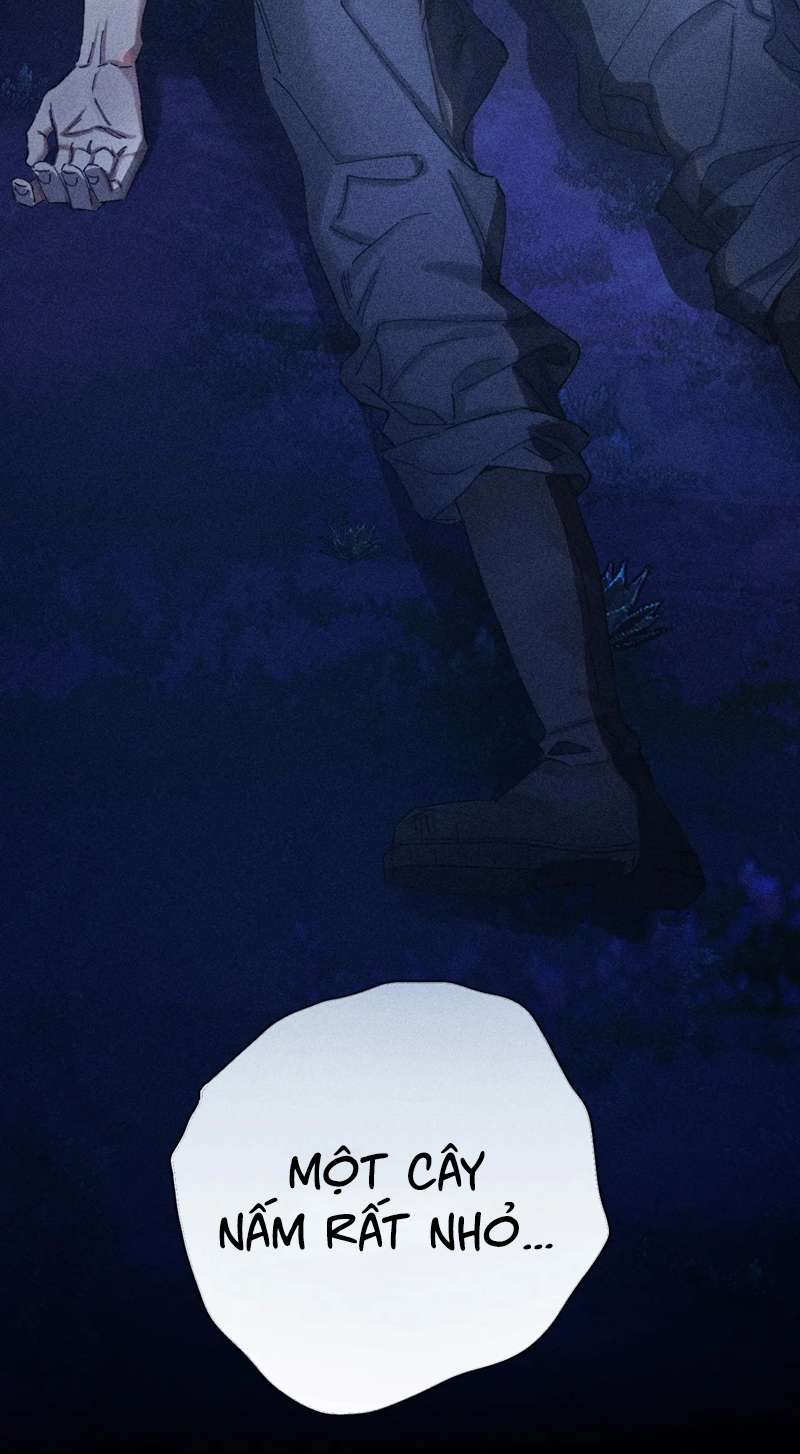 Cây Nấm Nhỏ Chap 3 - Trang 4