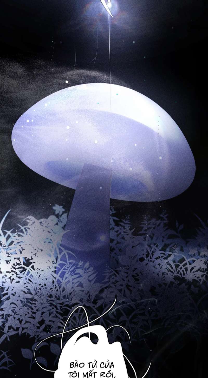 Cây Nấm Nhỏ Chap 3 - Trang 4