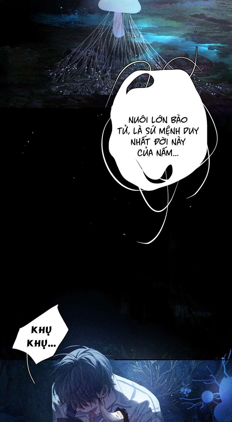 Cây Nấm Nhỏ Chap 3 - Trang 4