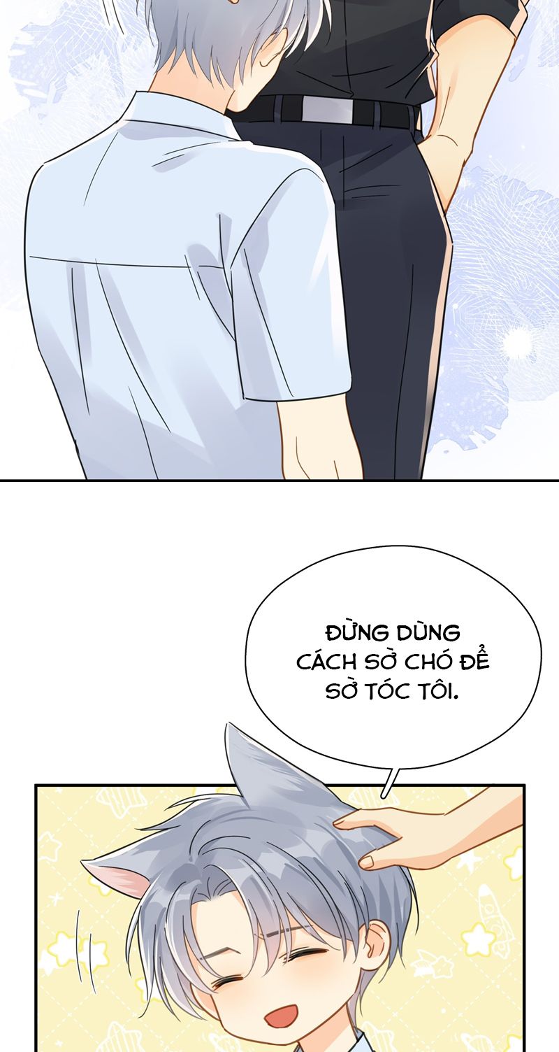 Theo Đuôi Chapter 82 - Trang 4