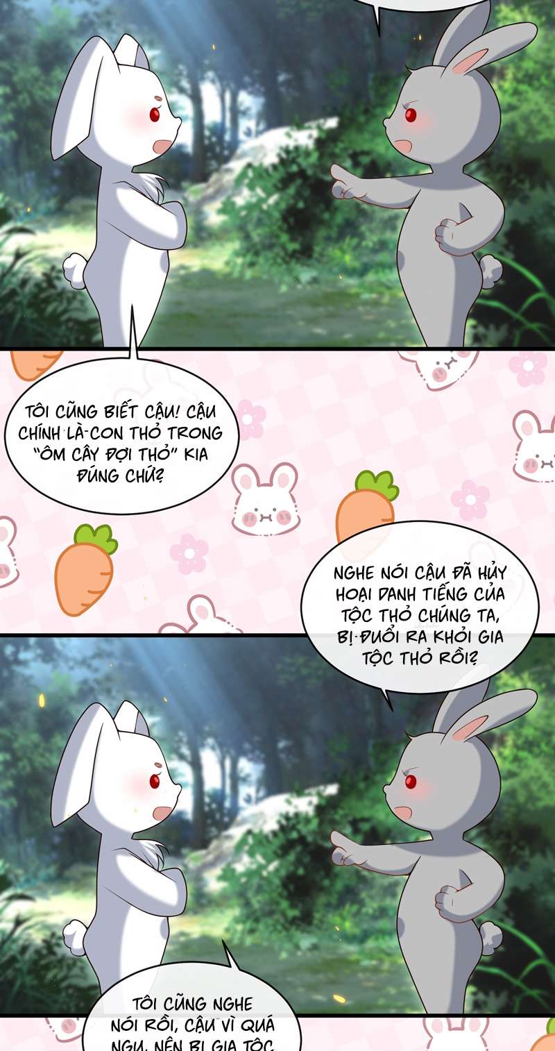 Anh Ấy Đến Từ Màn Đêm Chapter 21 - Trang 4