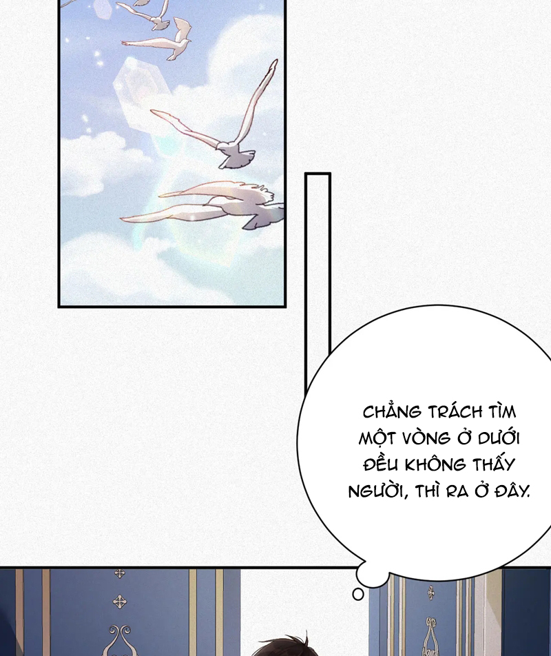 Chồng Trước Lại Muốn Phục Hôn Rồi Chapter 36 - Trang 3