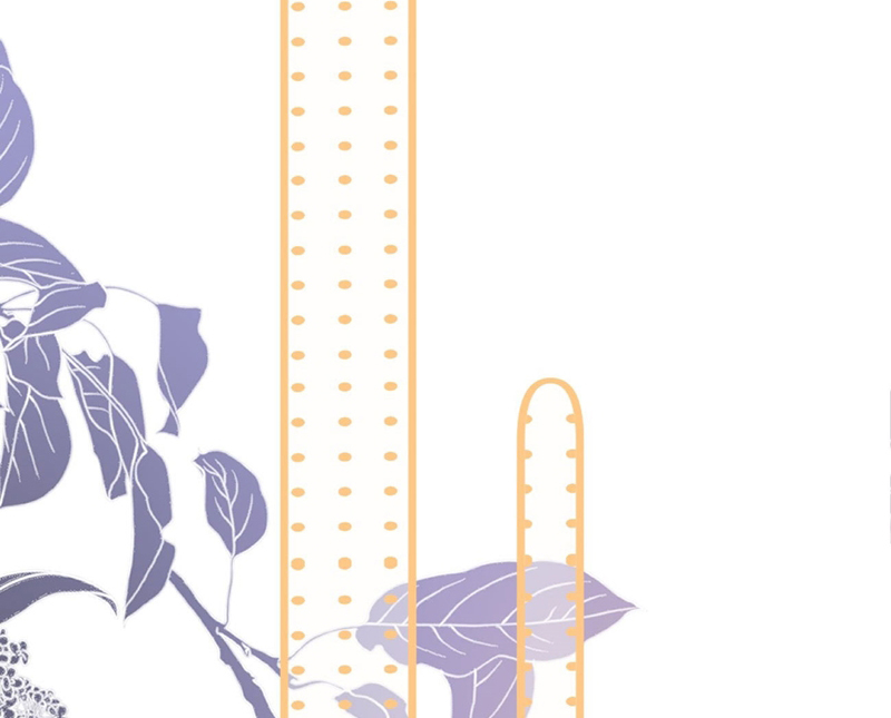 Tôi Và Ảnh Chụp Không Giống Nhau Chapter 48 - Trang 3