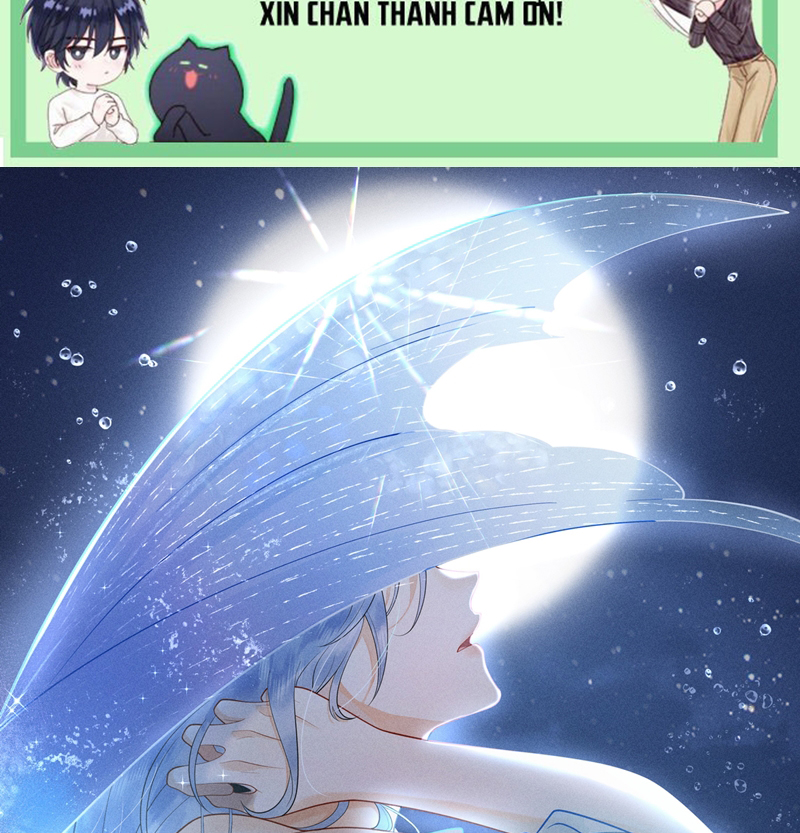 Xuyên Nhanh Chi Cải Tạo Bắt Đầu Lại Làm Người Chap 85: người cá - Trang 2