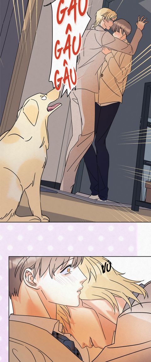 Anh Trai Tiện Lợi Của Tôi Chap 9 - Trang 3