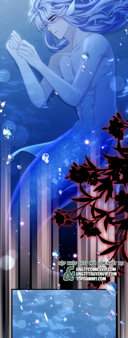 Tôi Hoài Nghi Ảnh Đế Đang Theo Đuổi Tôi Chapter 126 - Trang 4