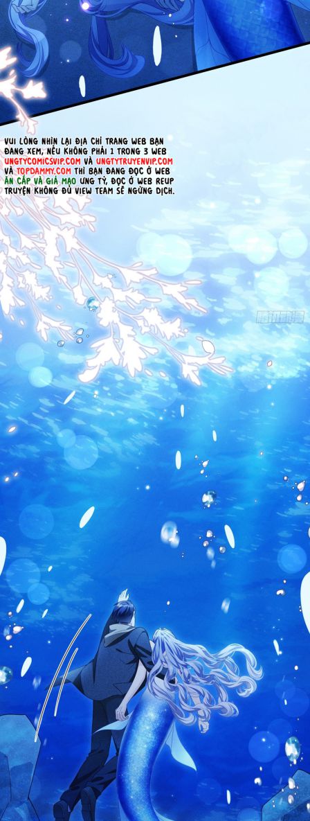 Tôi Hoài Nghi Ảnh Đế Đang Theo Đuổi Tôi Chapter 126 - Trang 4