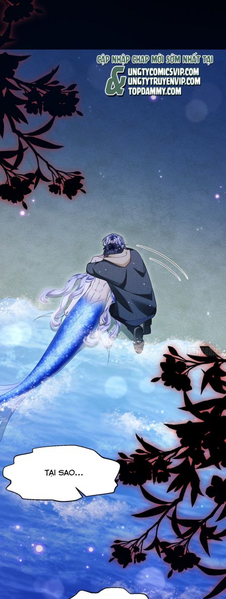 Tôi Hoài Nghi Ảnh Đế Đang Theo Đuổi Tôi Chapter 126 - Trang 4