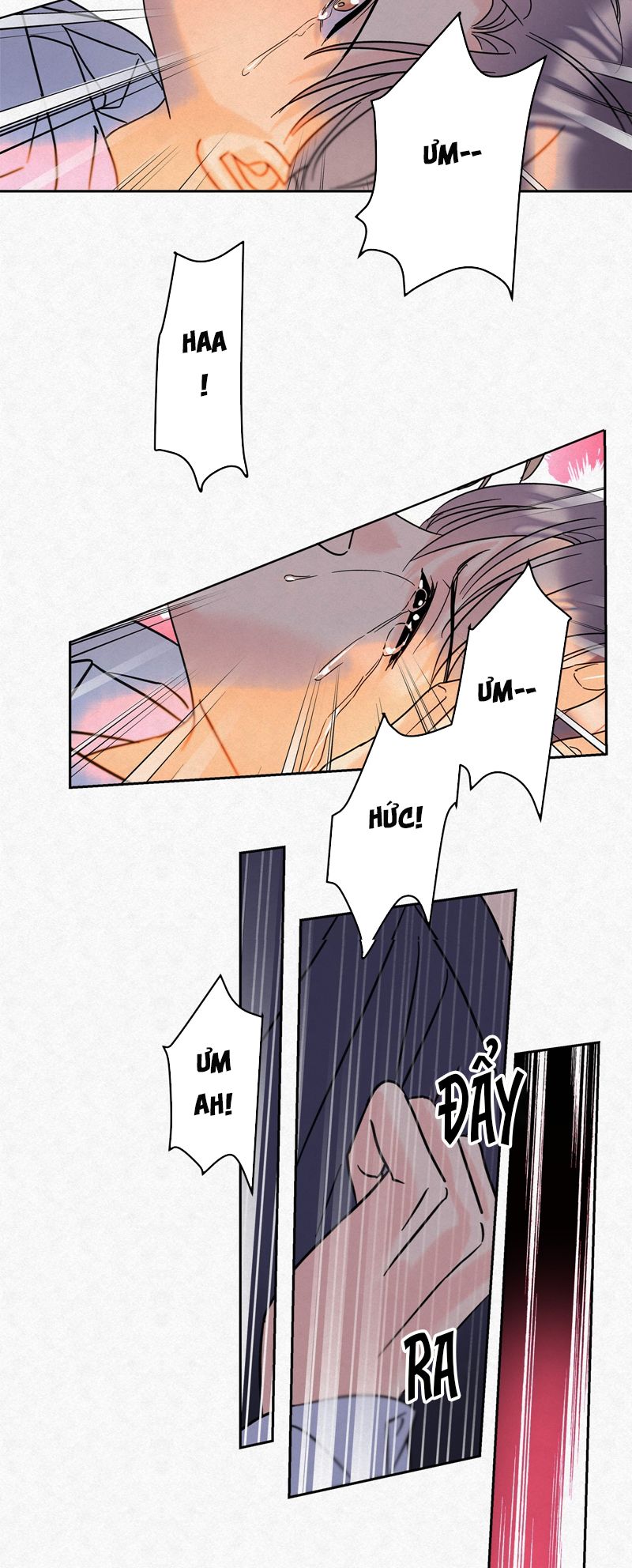 Anh Trai Tiện Lợi Của Tôi Chap 17 - Trang 3