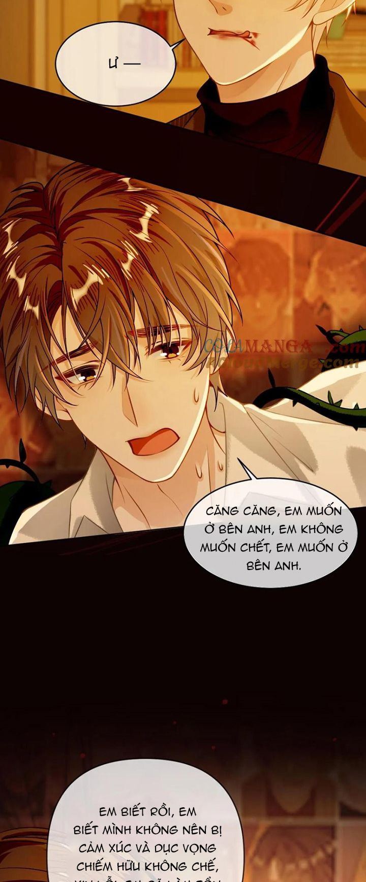 Lang Cẩu Chủ Thần Chapter 132 - Trang 3