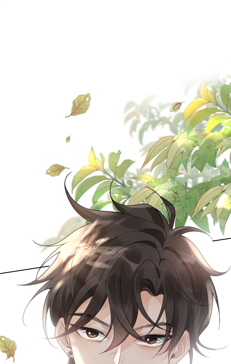 Xuyên Nhanh Chi Cải Tạo Bắt Đầu Lại Làm Người Chapter 102 - Trang 4