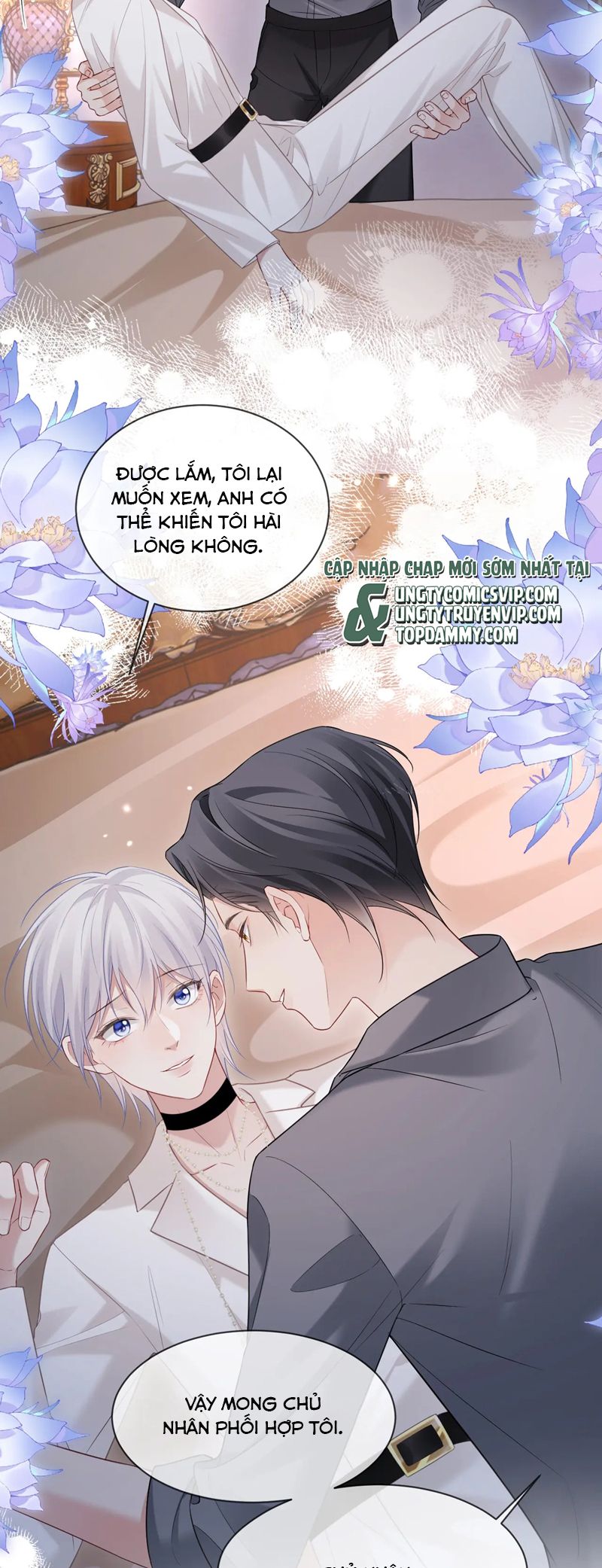 Đơn Xin Ly Hôn Chap 132 - Trang 2