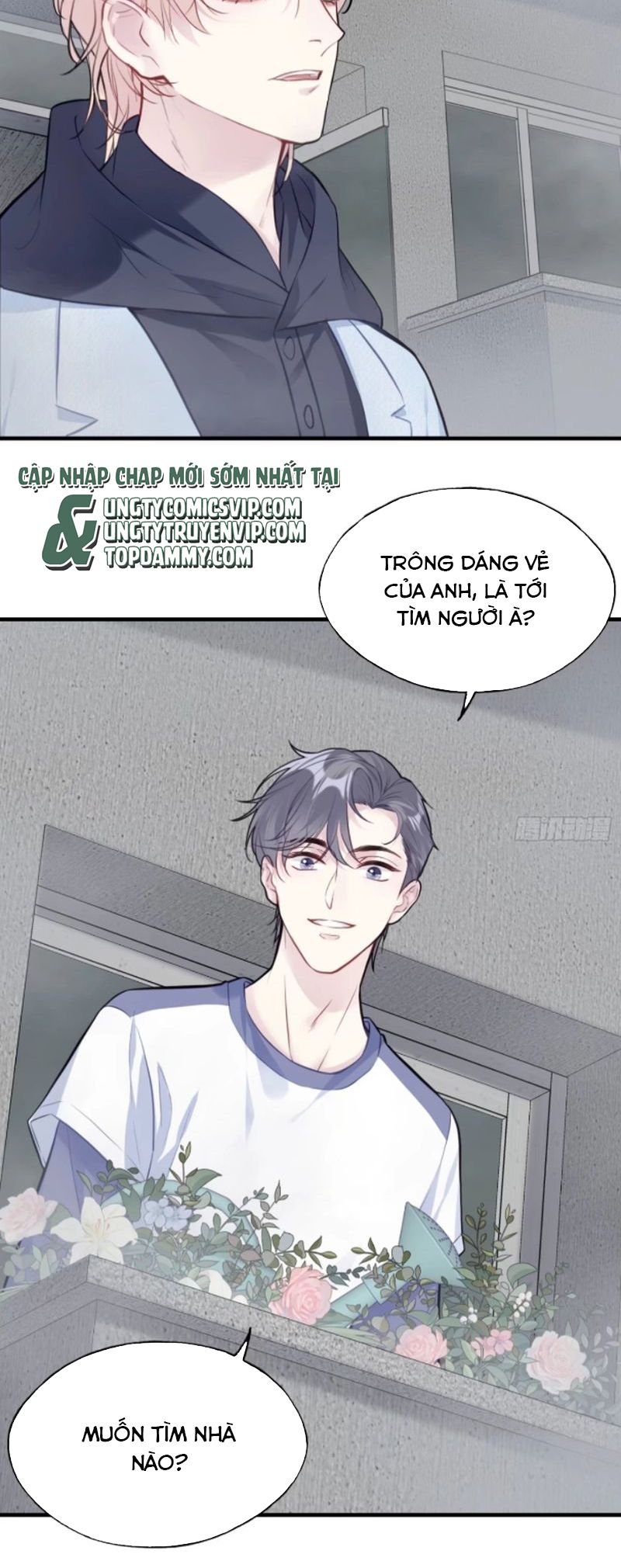 Anh Ấy Chưa Từng Rơi Xuống Chap 74 - Trang 4