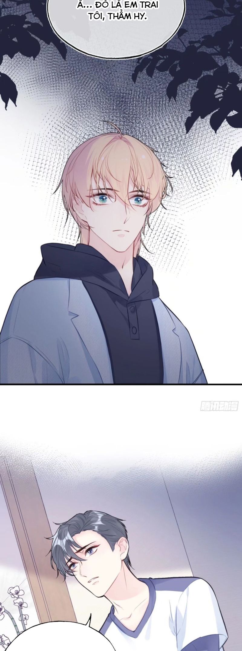 Anh Ấy Chưa Từng Rơi Xuống Chap 74 - Trang 4