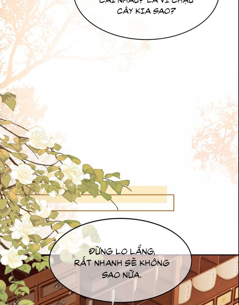 Điện Hạ Khuynh Thành Chapter 100 - Trang 4