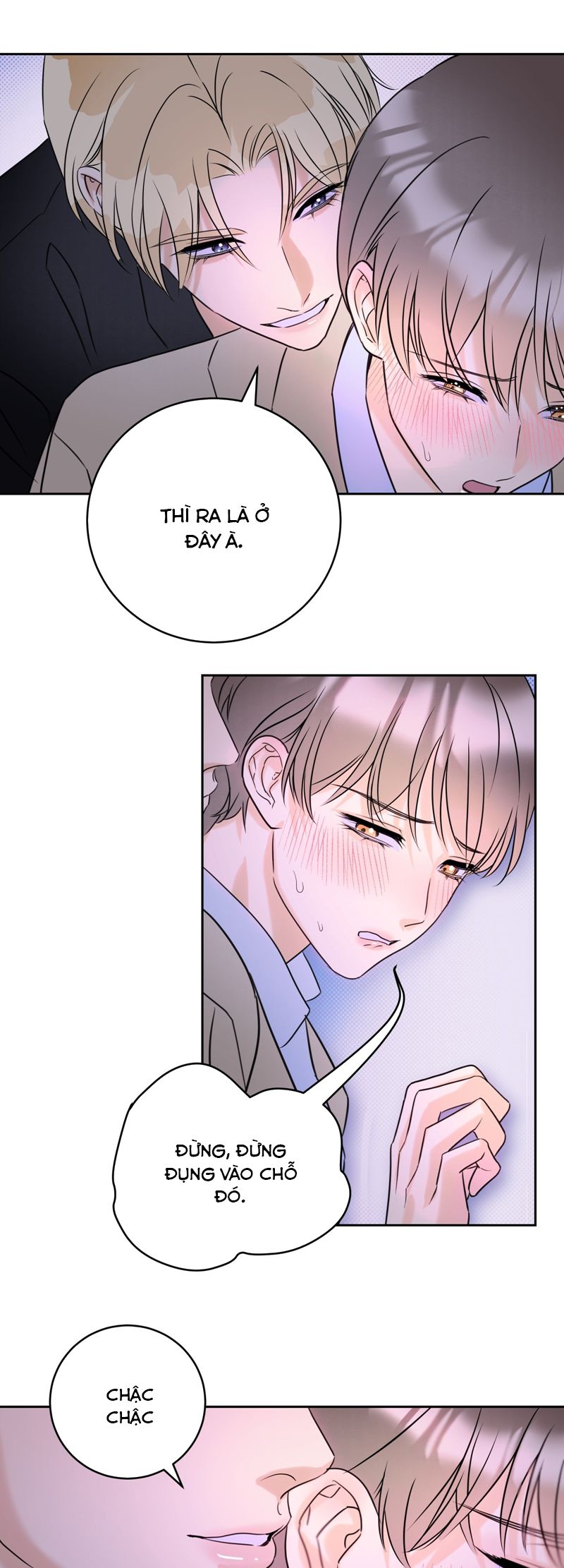 Anh Trai Tiện Lợi Của Tôi Chap 40 - Trang 3