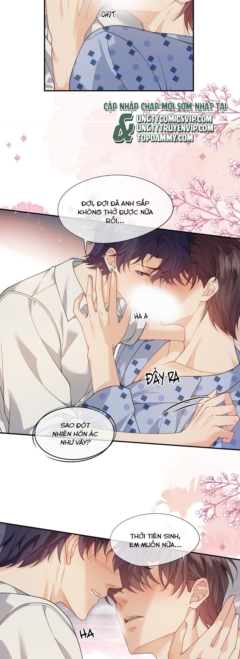 Gài Bẫy Ác Khuyển Chapter 55 - Trang 4
