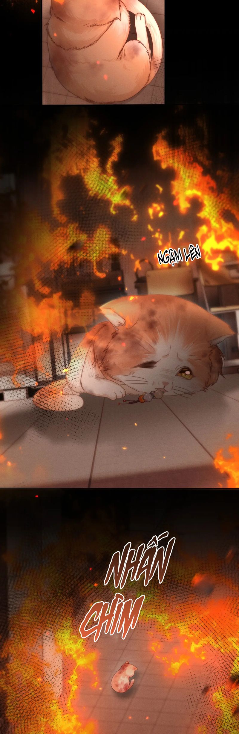 Tật Xấu Nuông Chiều Chap 5 - Trang 4