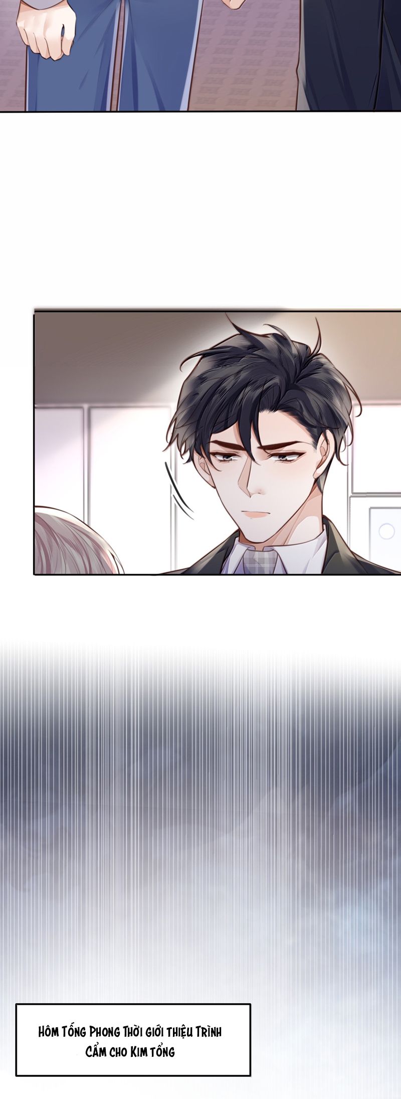 Tổng Tài Định Chế Tư Nhân Chap 112 - Trang 4