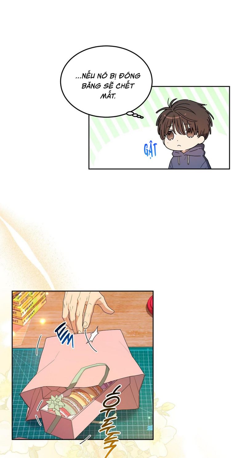 Cherry Cake Chapter 3 - Next Chapter 4