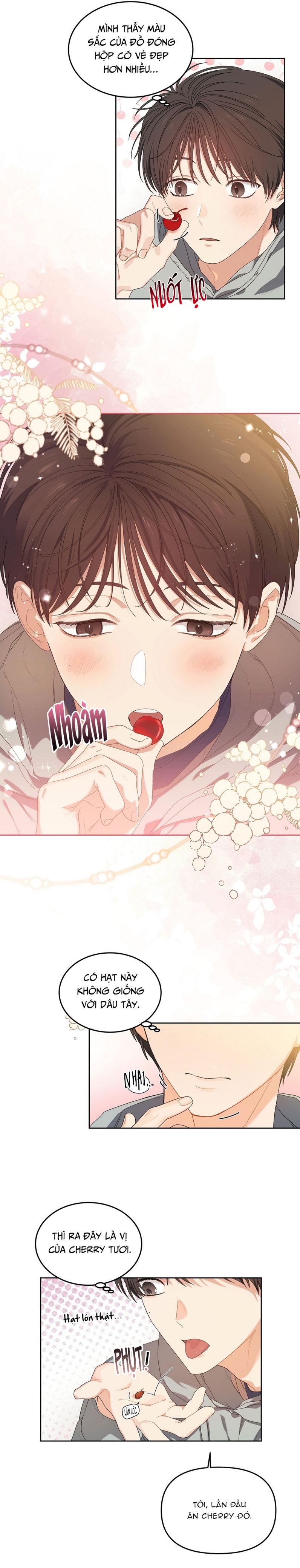 Cherry Cake Chapter 5 - Next Chapter 6