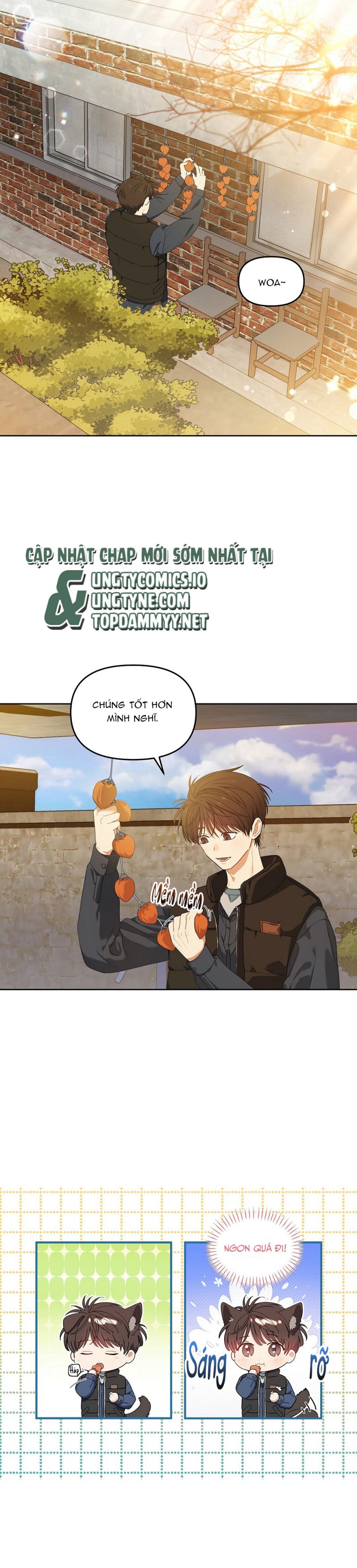 Cherry Cake Chapter 6 - Next Chapter 7