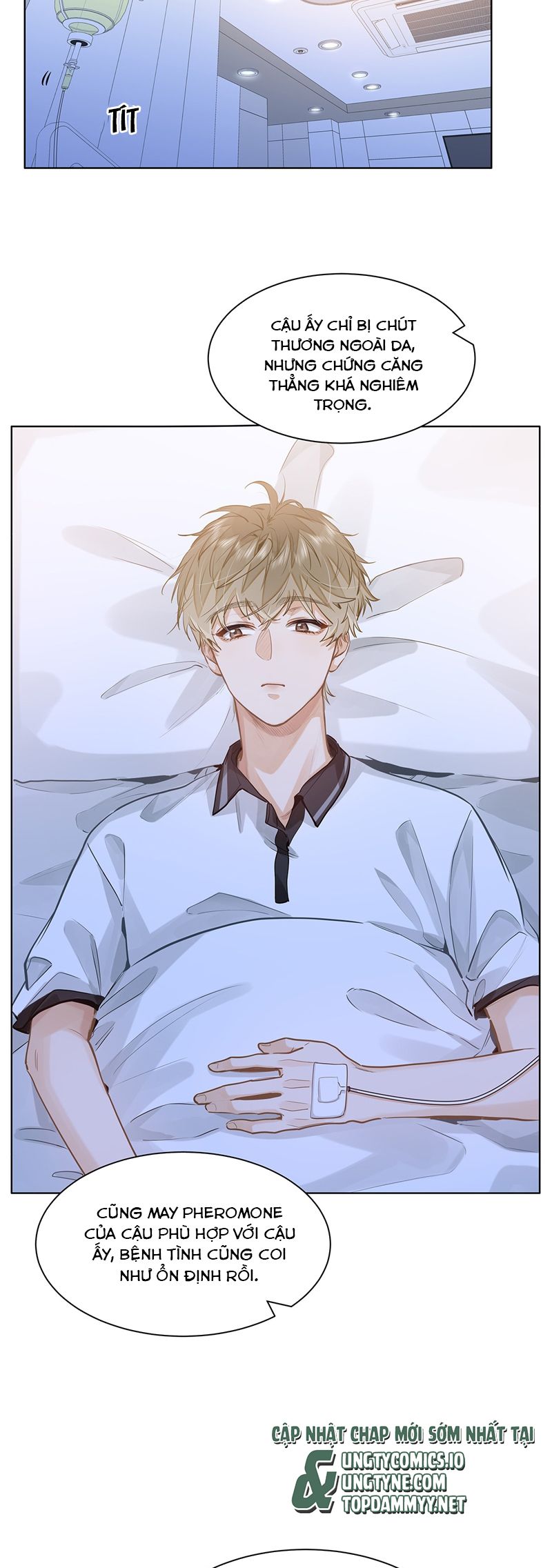 Tôi Thích Tin Tức Tố Của Cậu Chapter 53 - Next Chapter 54