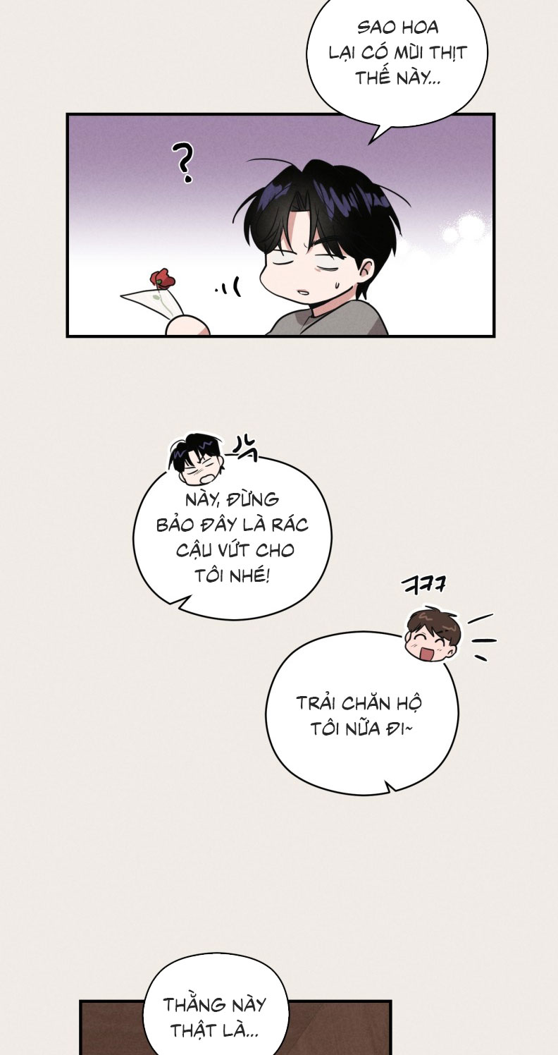 Báo Cáo Thanh Xuân 1995 Chapter 15 - Trang 3