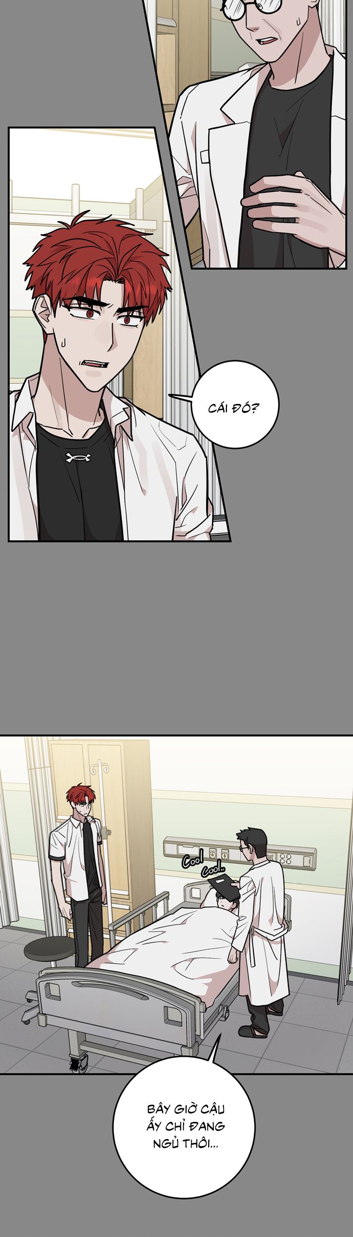 Kính Donbrik Chap 19 - Trang 2