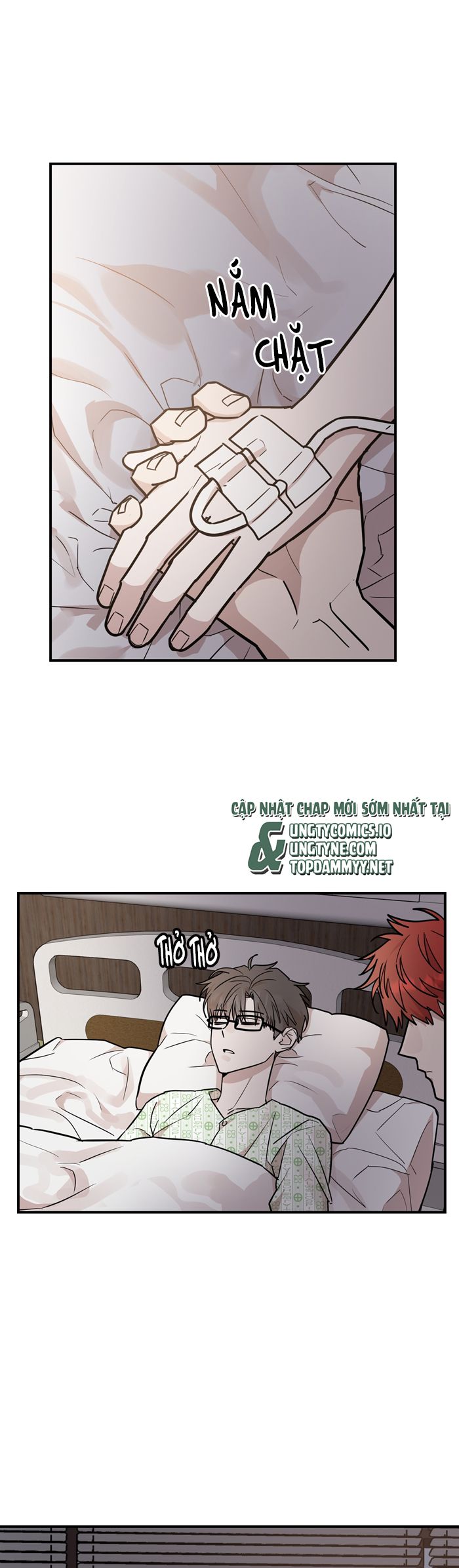 Kính Donbrik Chap 19 - Trang 2