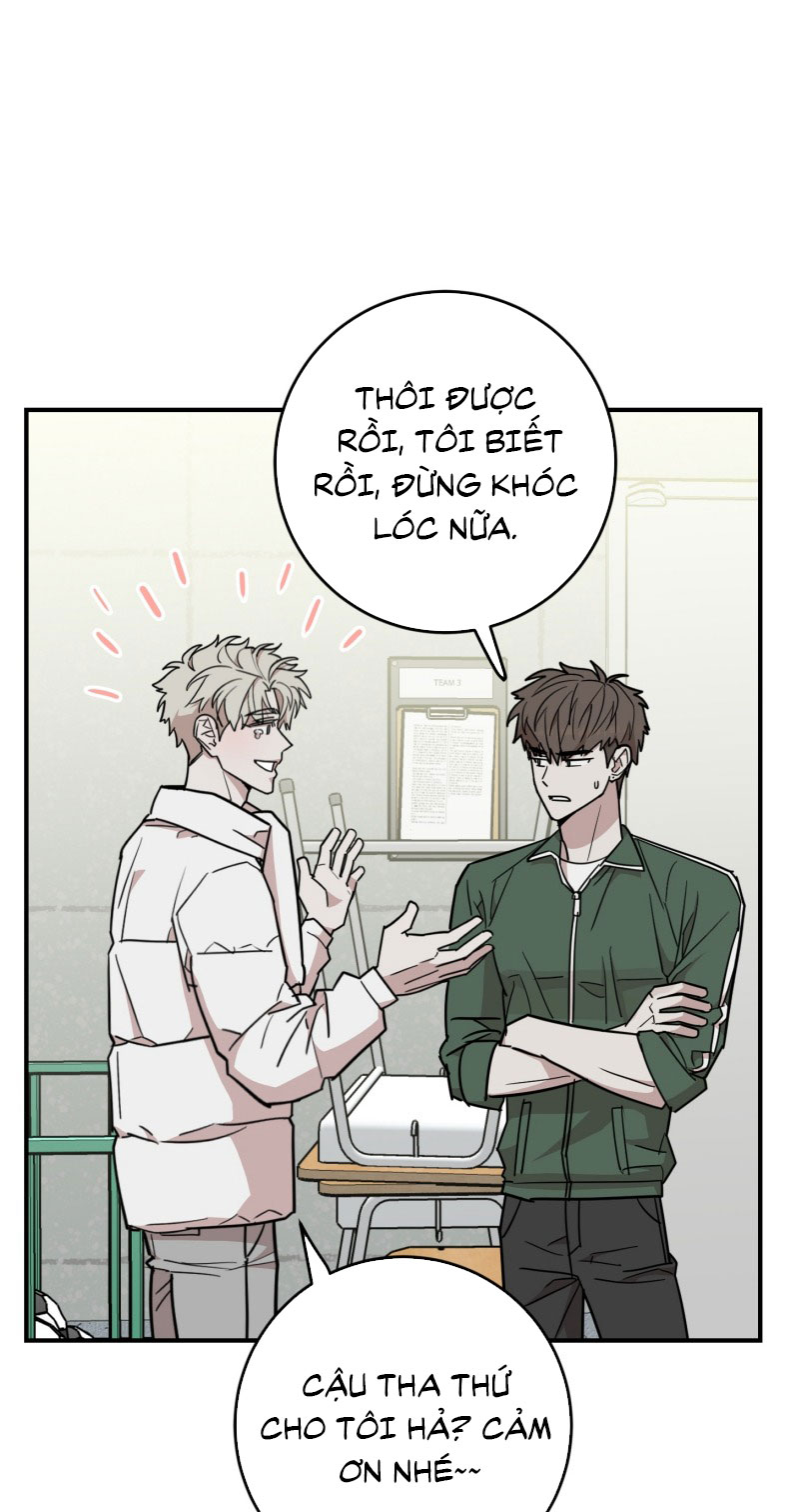 Kính Donbrik Chap 21 - Trang 2