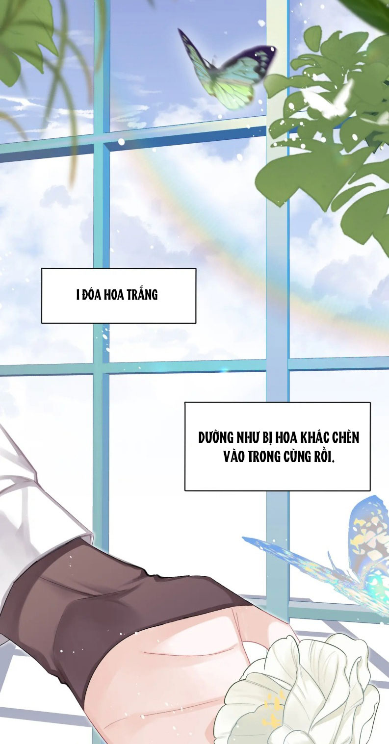 Nghịch Lý Câu Fan Chapter 37 - Trang 3