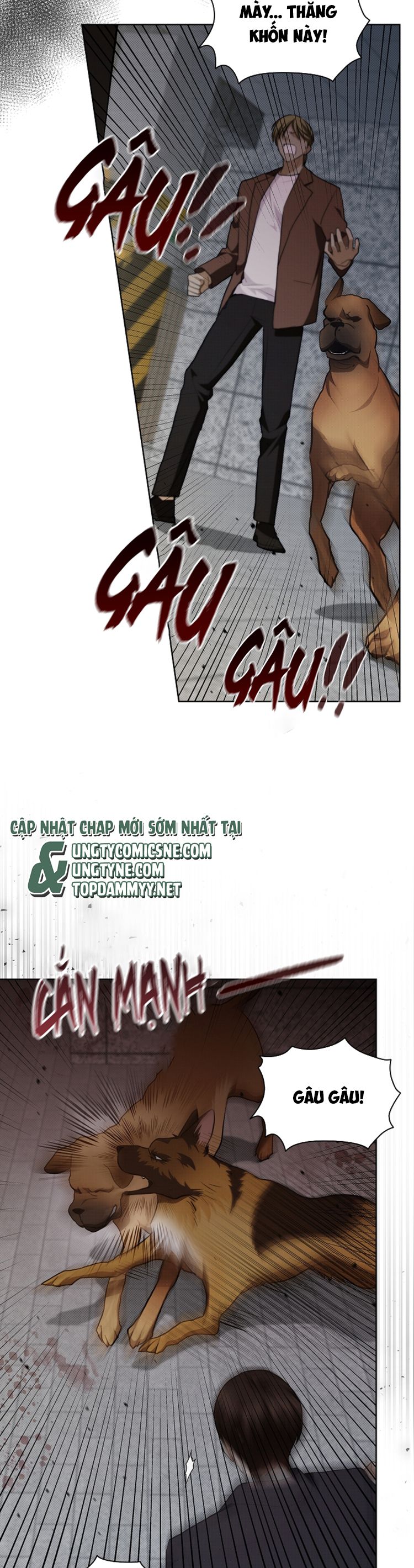 ĐỪNG CHẠM VÀO CÚN CON CỦA TÔI Chap 23 - Trang 4