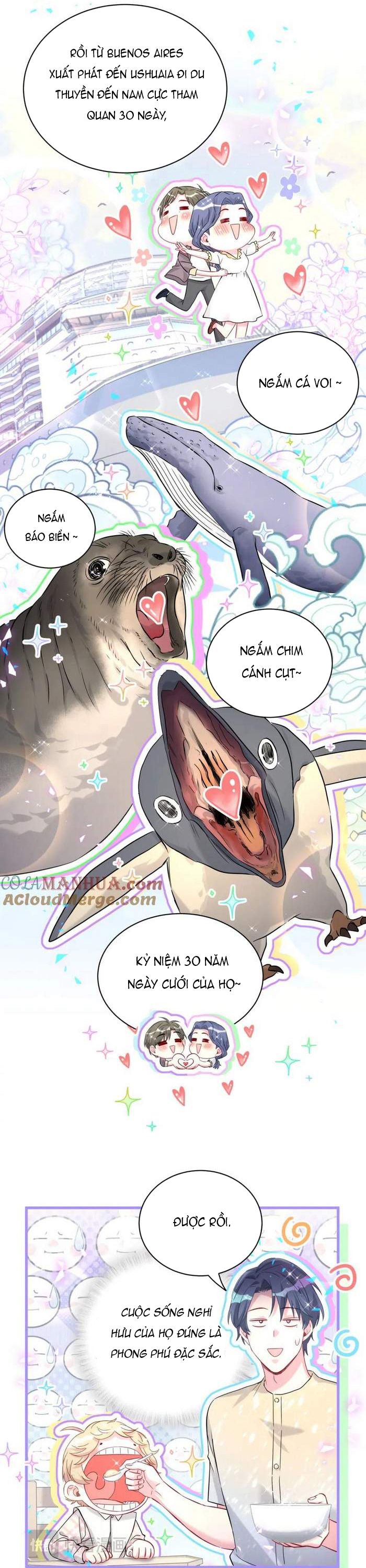 Đại Bảo Bối Từ Đâu Tới Chap 242 - Trang 2