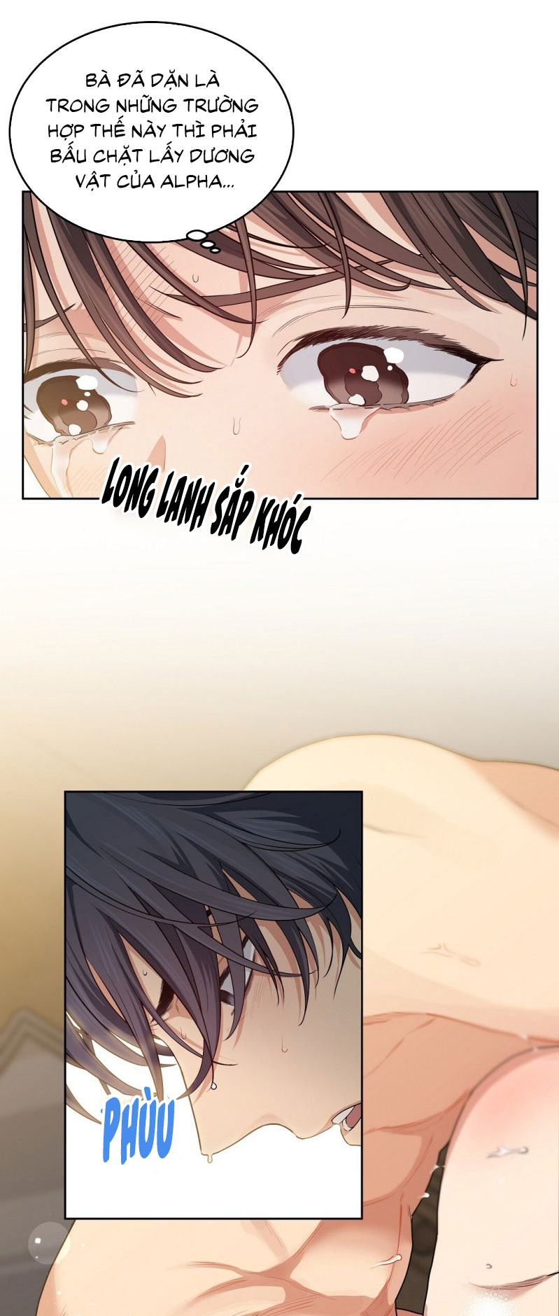 Cherry Cake Chapter 19 - Next Chapter 20