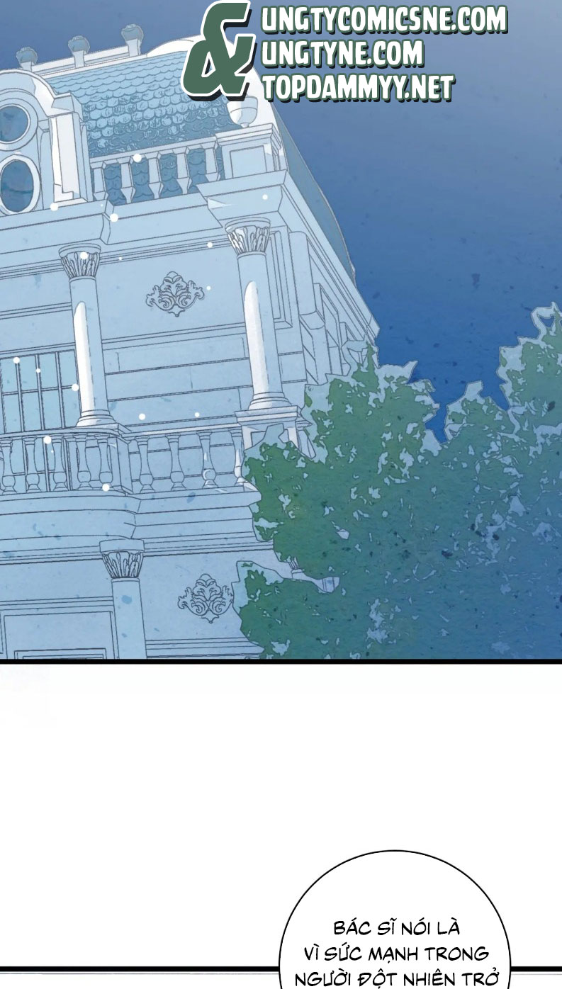 Hồ Thiên Nga Bị Lãng Quên Chap 16 - Trang 2