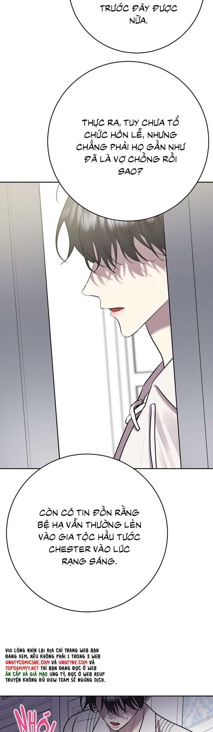 Hôn Nhân Gia Tộc Chap 17 - Trang 3